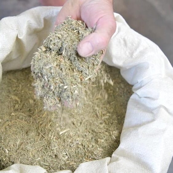 Des solutions nutritionnelles naturelles - Symbiopôle