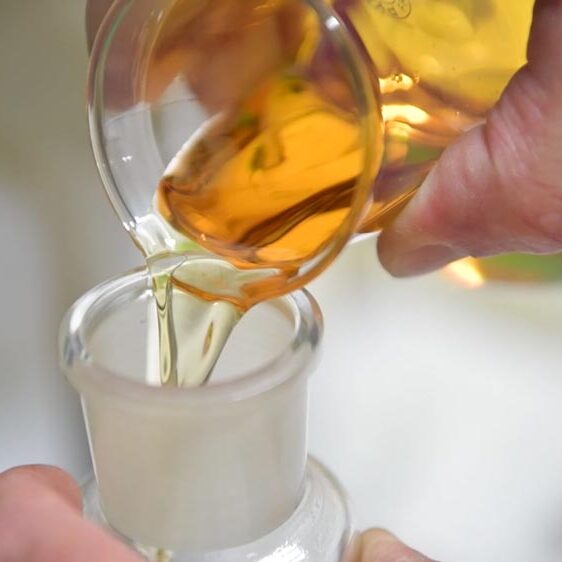 Solutions nutritionnelles naturelles