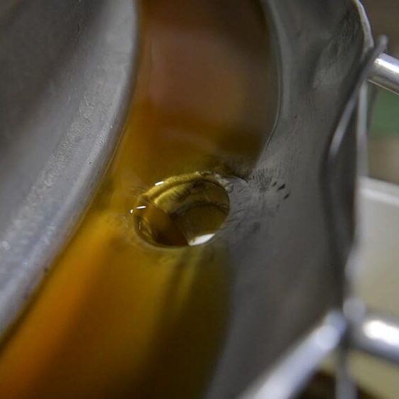 Aliments complémentaires pour le bien-être animal - Symbiopôle